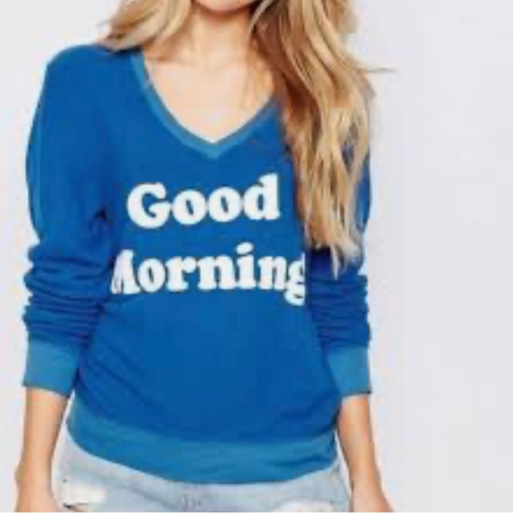 Wildfox blue sweater